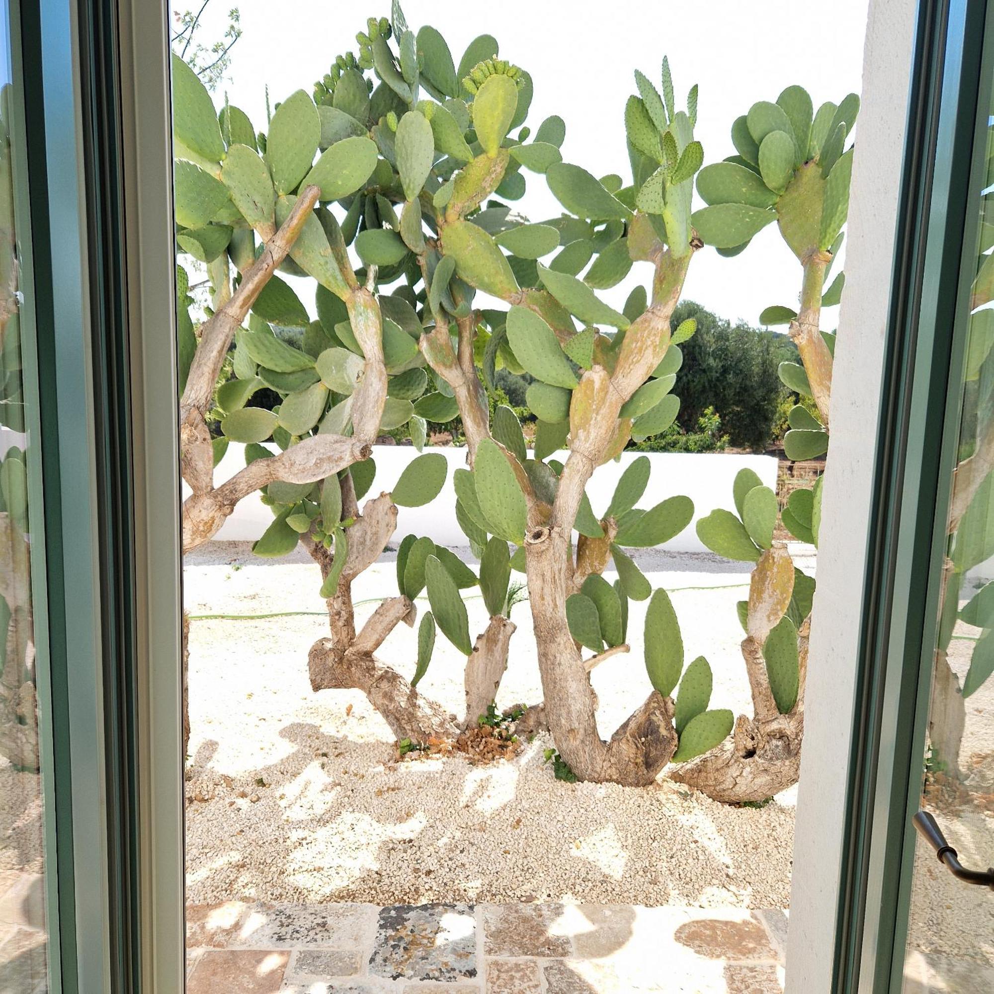 Masseria Paradiso Ostuni Luaran gambar